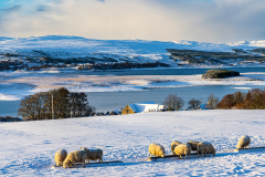 Snowy landscape at West Shinness