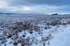 Moorland under snow