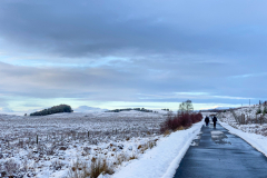 Winter afternoon walk