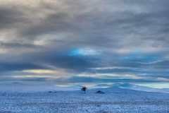 Lost in the landscape