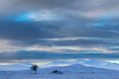 Alone on the moor
