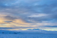The pastel shades of Winter