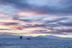 Pinks and purples over the Sutherland landscape