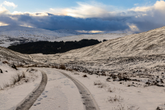Mountains, forest and clouds