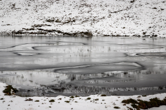 Loch an Tuim Bhuidhe