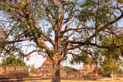 Wat Phra Phai Luang