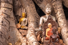 Wat Si Sawai