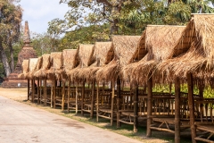 Bamboo huts