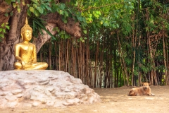 Wat Phan Tao
