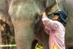 Chiang Mai Zoo