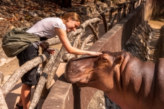 Chiang Mai Zoo