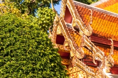 Wat Phra That Doi Suthep