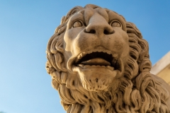Lions