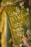 Cienfuegos Botanical Garden