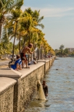 Fishing in Cienfuegos Bay