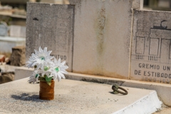 Cementerio la Reina