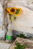 Cementerio la Reina