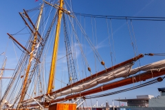 Historic ships, Amaliehavn