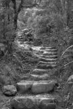 Pinnacles Walk