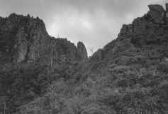 Kauaeranga Valley