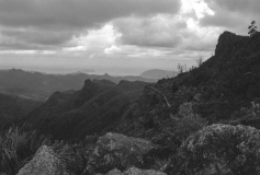 Kauaeranga Valley