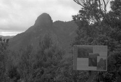 Kauaeranga Valley