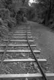 Kauaeranga tram tracks