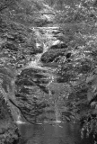 Kauaeranga waterfall