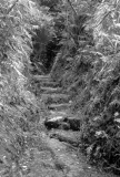 Pinnacles Walk