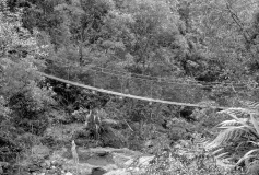 Wire bridge