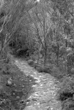 Pinnacles Walk
