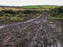 Dartmoor farm track