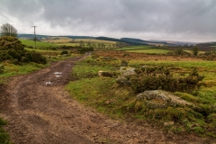 Dartmoor farm track