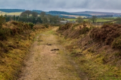 Dartmoor farm track