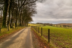 Dartmoor lane
