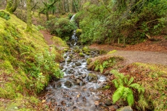 Burrator waterfall