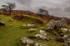 Down Tor