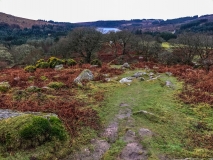 View of Burrator Reservoir