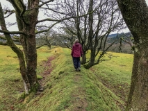 Field boundary