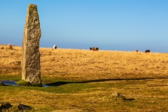 Ancient standing stone