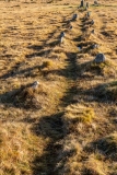 Ancient stone row
