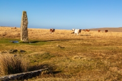 Ancient standing stone