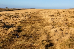 Merrivale moorland