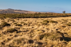 Merrivale moorland