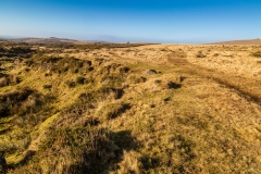 Merrivale moorland