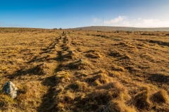 Ancient stone row