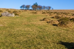 Merrivale moorland