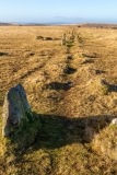 Ancient stone row