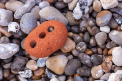 Beach debris