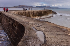 The Cobb